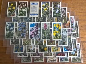 Brooke Bond tea trade cards: Wild Flowers Series 2 ISSUED IN complete full set - Picture 1 of 2