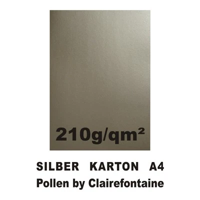 Silber Karton 210g 10 Blatt A4 silberner Metallic Bastelkarton Clairefontaine