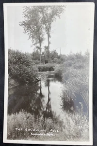 KALKASKA MICH Michigan Lake RPPC REAL PHOTO POSTCARD The Swimming Pool  - Picture 1 of 2