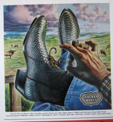 1980 NOCONA Western Cowboy Botas Impressão Anúncio ~ ESCORPIÃO com Alex Ebel Art - Imagem 1 de 2