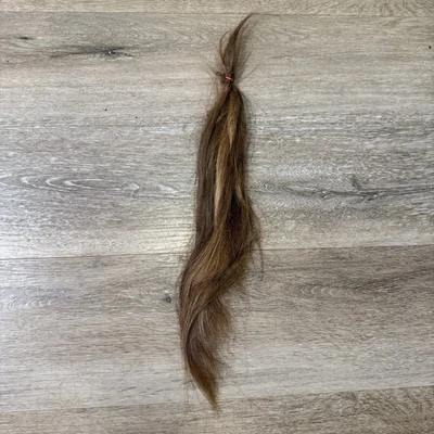 Corte de pelo cola de caballo de pelo humano, caucásico femenino principios de los 30’s marrón claro Foto 1 de 4