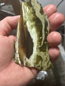 Rough Slab Unknown Petrified Wood  Thick Lapidary Cabbing Stone Mineral Society - Picture 1 of 9