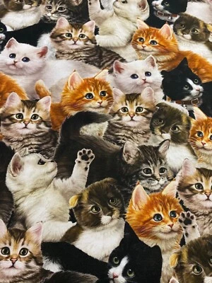 PLAYFUL CATS WHITE ORANGE & BLACK COTTON FABRIC FQ - Image 1 of 4