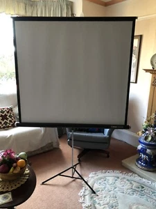 Vintage Rank Day Lite Fold Down Projector Screen - Picture 1 of 3