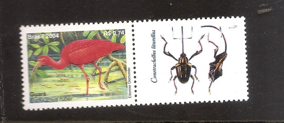 99c 起始 - 巴西水鸟 2004 Scott 2921 + 标签全新无标签 — 第 1/1 张图片