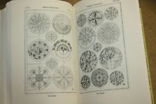 Libro tecnico ornamenti per intagli stuccatori formatore vasaio pittore scultore 1927