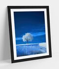 ABSTRACT WHITE TREE IN BLUE LANDSCAPE FRAMED WALL ART POSTER PAPER PRINT 4 SIZES