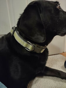 Pre-owned Boots & Barkley Comfort padded Grey and Yellow adjustable dog collar