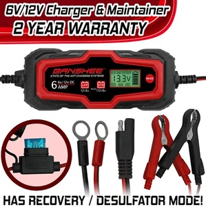 6V/12V STD &AGM Lead Acid & LiFePO4 Battery 6 Amp Charger Maintainer Desulfator - Picture 1 of 7