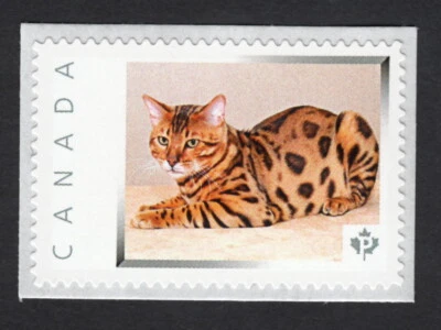 LQ. BENGAL CAT = Picture Postage Stamp Canada 2015 [p15-04ct4/1] - Image 1 of 2