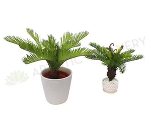 NEW Artificial Flowers/Plants SP0230 Small Cycad Plant Real Touch 2 Sizes - Picture 1 of 2