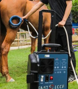 PEMF Machine Physio Magnetic Therapy with Butterfly Loop for Animals Pain Relief - Picture 1 of 6