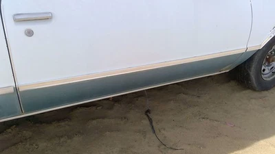 Chevy El Camino 1979 pasajero delantero derecho moldura de puerta OEM moldura moldura Foto 1 de 4