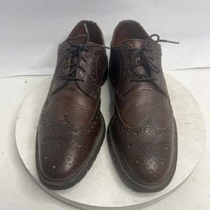 Allen Edmonds Aberdeen Long Wingtip Oxford Brogue Shoes Mens 10.5 B Brown 8022 - Picture 1 of 12