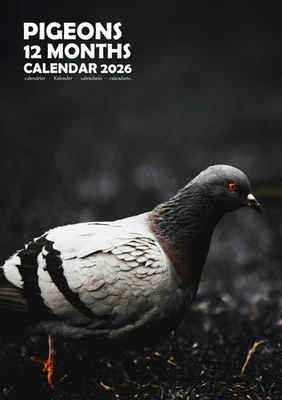 ENIGMATIC Pigeons 2026 Calendar