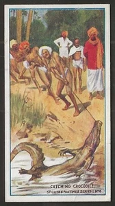 TADDY-SPORTS & PASTIMES 1912-#08- CATCHING CROCODILE - Picture 1 of 2