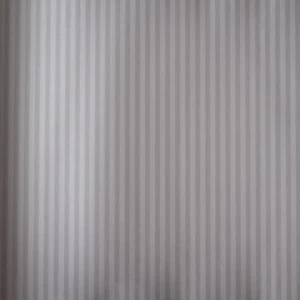 Papel pintado Essener vinilo blanco y negro BW28720 plata gris rayas - Imagen 1 de 1