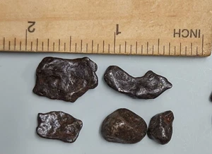 10 Grams AGOUDAL Imilchill IIAB Iron Meteorite Lot from Atlas Mountains (#F3863) - Picture 1 of 1