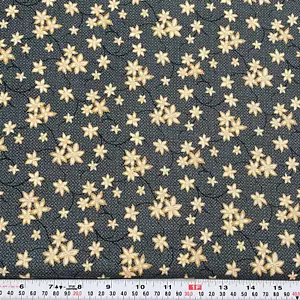 Sunwashed Prints by Thimbleberries RJR Blue Cotton Fabric Remnant 17" x 44" - Picture 1 of 2