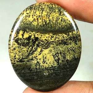 100% Natural Sagebrush Jasper Oval Cab Excellent Gemstones 27.75Cts 25x 31x 04mm - Picture 1 of 3