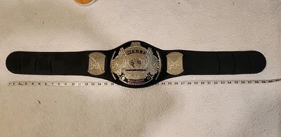 Good Selection WWE Championship Belts Wrestling Belt Kids Youth 38.5" - Image 1 of 4