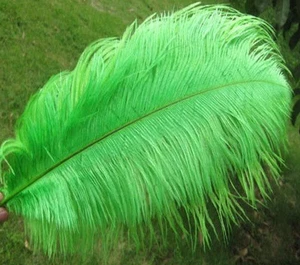 Plumas de avestruz verde lima de 22-24 pulgadas 5 piezas (GA, EE. UU.) - Imagen 1 de 3