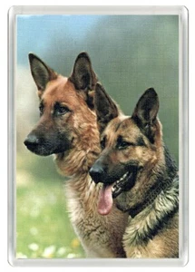 DEUTSCHER SCHÄFERHUND KOPF STUDIE HUND KUNSTDRUCK NEUHEIT ACRYL KÜHLSCHRANKMAGNET GESCHENK - Bild 1 von 1