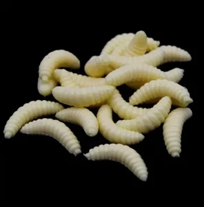 50 piezas aparejos de pesca gusano amarillo, gusano goma reutilizable*sin ganchos* señuelos nuevos - Imagen 1 de 4