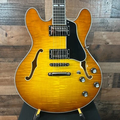 Eastman T486 Semi-Hueco Eléctrico, Goldburst, Estuche Rígido, Envío Gratis, 278 Foto 1 de 4