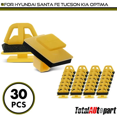 30x Rocker Moulding Fastener Retainer Clips w/ Sealer for Hyundai Santa Fe Nylon - Image 1 of 4