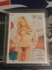 2013 Benchwarmer WWE Torrie Wilson Card 1/1
