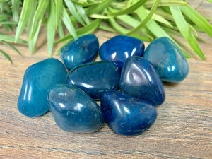 1/2 lb Teal Agate Tumbled Stones Crystal Therapy Gemstone Specimen Reiki Chakra. - Bild 1 von 6