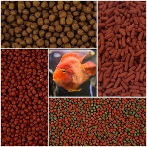 Comida para peces cíclidos loros - pellets flotantes palos híbridos color rojo sangre - Imagen 1 de 17
