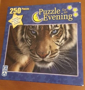 FX Schmid 250 Piece Puzzle in an Evening Called Blue Eyes - Picture 1 of 4