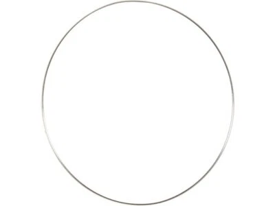 Manguito de reparación de cojinete principal Victor Reinz 19995WTJW para Ford E150 Club Wagon 2003 Foto 1 de 2