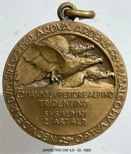 COMANDO SUPERIORE ALPINO TRIDENTINO 2° ARTIGLIERIA ALPINA MED. CAMPAGNE D’AFRICA - Picture 1 of 6