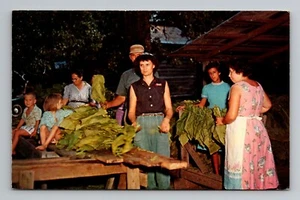 Postal cromada de colección años 50 Barning Tobacco en Dixie Georgia Carolina sin publicar - Imagen 1 de 2