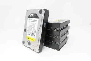 Western Digital WD1003FBYX 1TB 7200RPM 3.5" 64MB Sata Desktop HDD - Afbeelding 1 van 4