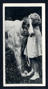 BORZOI CARRERAS LTD 1936 ISSUE DOG & FRIEND SERIES OLD CIGARETTE CARD #29 - Foto 1 di 2