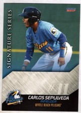 Carlos Sepulveda 2017 Choice Myrtle Beach Pelicans