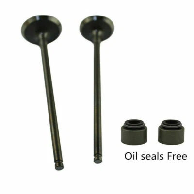 Kit de válvulas de admisión y escape para Kawasaki KLX250 1992-15 KLX300 97-07 12004-0725 Foto 1 de 2