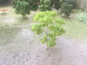 MP SCENERY 4 Gums N Gauge Architectural Economy Model Trees Railroad Layout - Picture 1 of 1