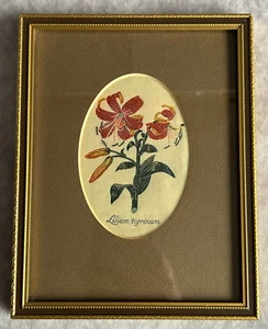 Cuadro tejido de seda vintage enmarcado y montado en efectivo de flor de lirio tigre - Imagen 1 de 4