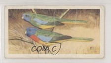 1963 Brooke Bond Wildlife in Danger Tea Splendid Parrakeet #39 0e3