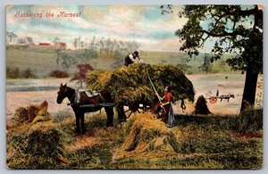 Gathering The Harvest Hay Farming 1909 Valentines Series Antique Postcard H8 - Picture 1 of 4