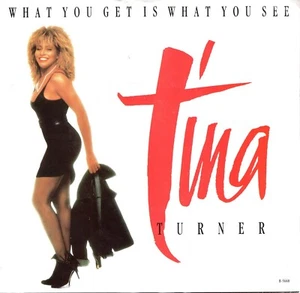 TINA TURNER: WHAT YOU GET IS WHAT YOU SEE / DJ COPY W/ PIC .. 45 RPM 6520 - Picture 1 of 4