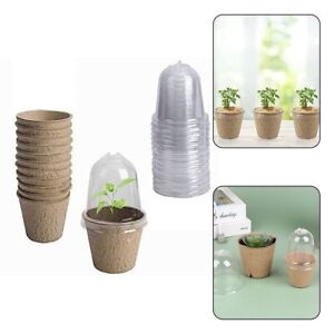 Healthy Roots with Biodegradable Paper Plant Pots and Humidity Dome Set of 10