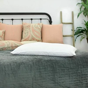Mulberry Silk-Filled Pillows. Microfiber Inner Core for Extra Support. All Sizes - Picture 1 of 16