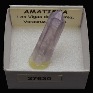 AMATISTA cristal (Las Vigas de Ramirez, Veracruz, Mexico) #27630 / Amethyst - Bild 1 von 1