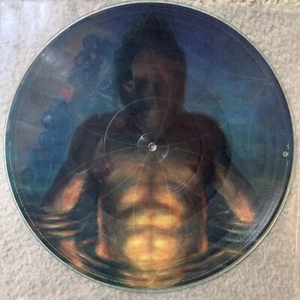 Tool Cesaro Summability LP 1996 Aenima Promo Picture Disc Limited Edition VG+ - Picture 1 of 10